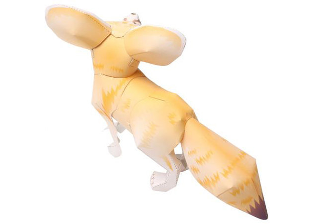 cao-fennec-1-kit168-com