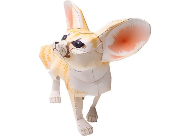 cao-fennec-2-kit168-com