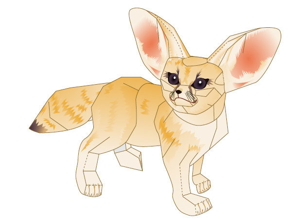 cao-fennec-3-kit168-com