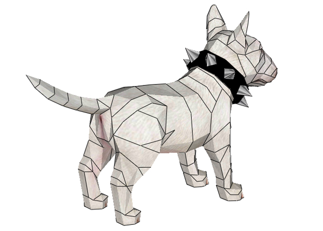 cho-bull-terrier-2