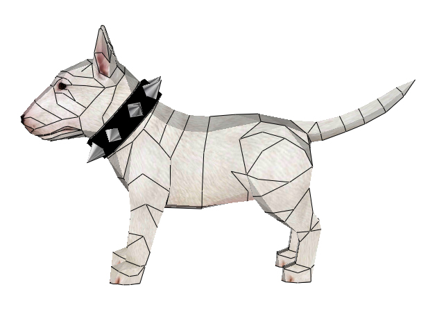 cho-bull-terrier-3