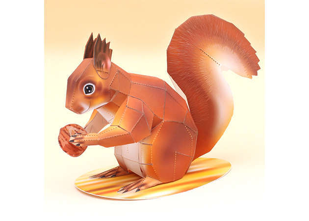 american-red-squirrel-1-kit168.com