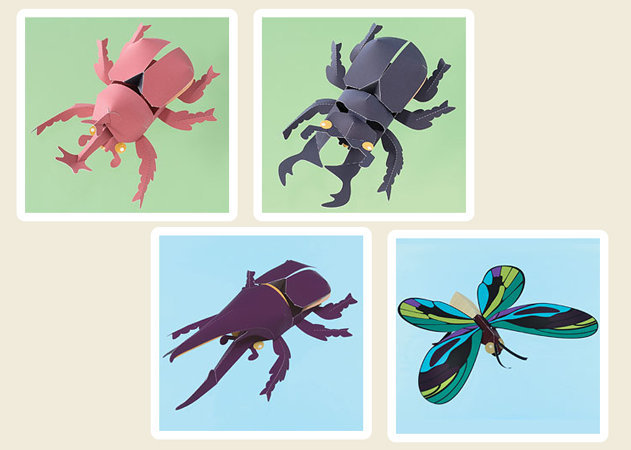 3-beetles-and-a-butterfly -kit168.com