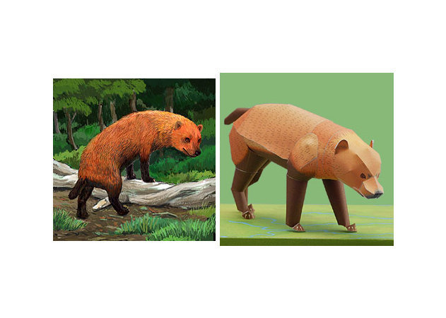 bush-dog -kit168.com