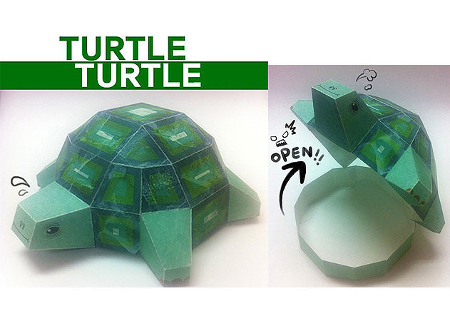 turtle-turtle -kit168.com