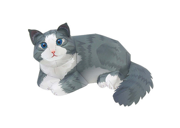 norwegian-forest-cat -kit168.com