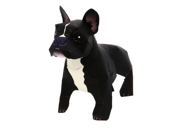 french-bulldog -kit168.com