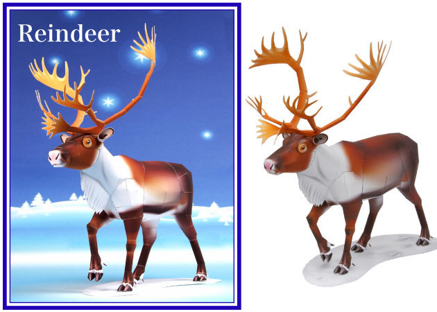 reindeer -kit168.com