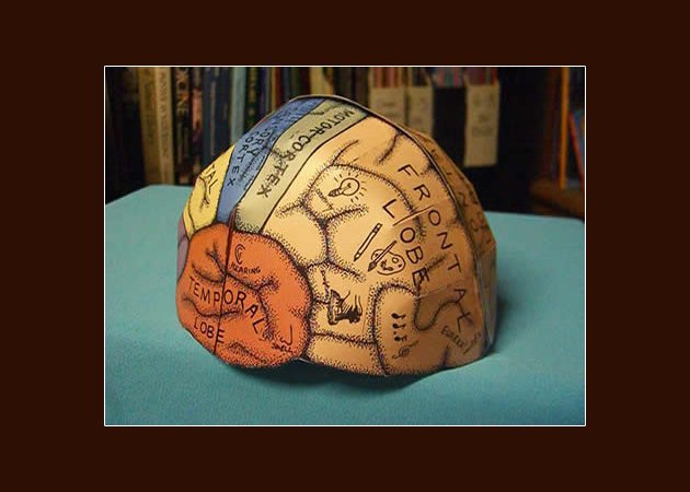 brain-hemisphere-hat -kit168.com
