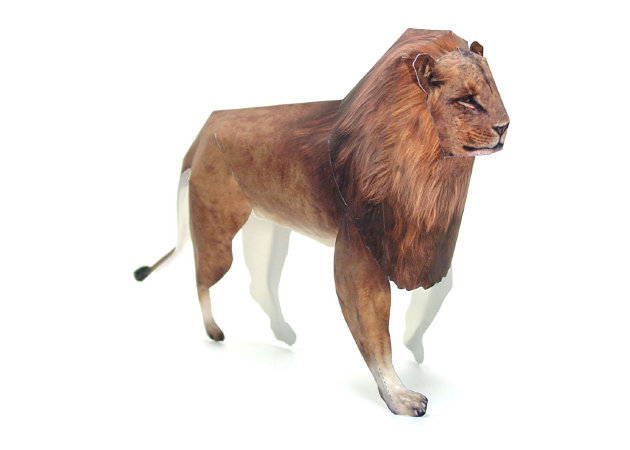 lion -kit168.com