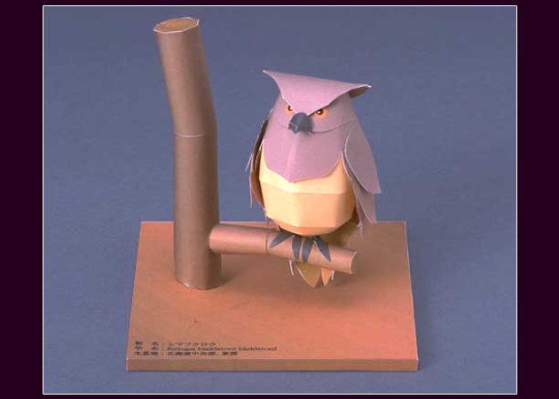 japanese-owl -kit168.com