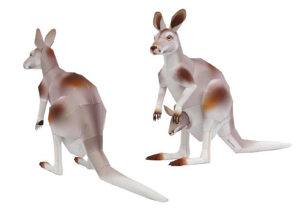 chuot-tui-kangaroo-1 -kit168.com