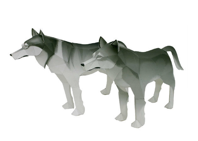 Mô hình Chó sói con  Mota  Montessori