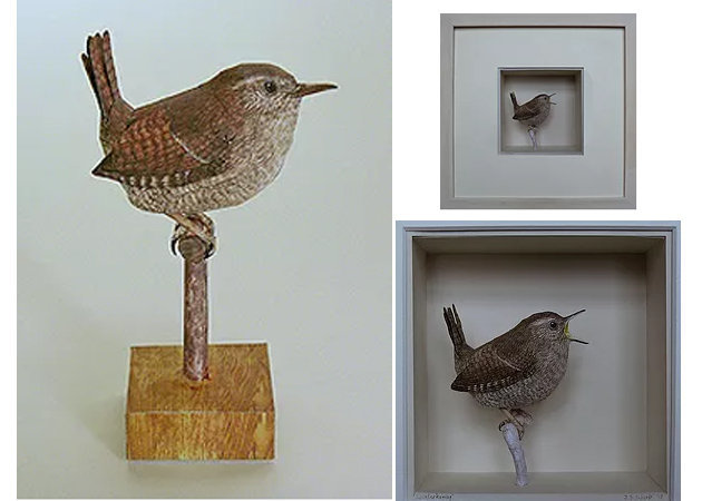 chim-the-wren-kit168-com