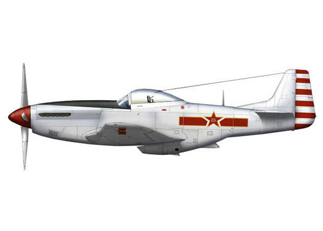 p-51-mustang-bald-eagle-kit168-com