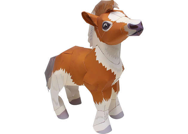 falabella-miniature-horse-kit168-com