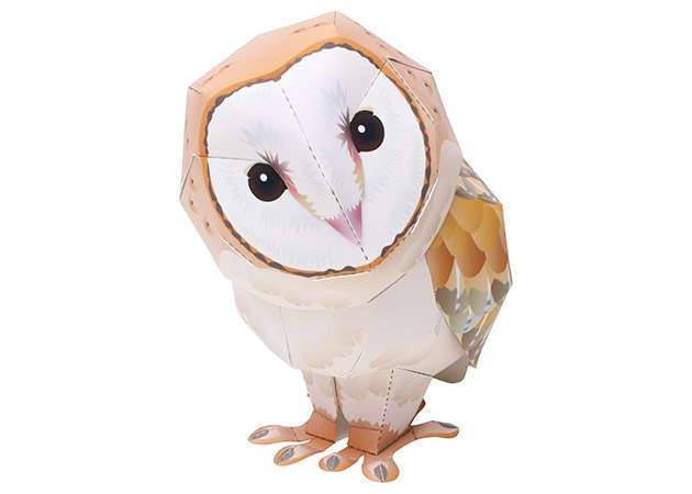 cu-lon-lung-xam-barn-owl-kit168-com