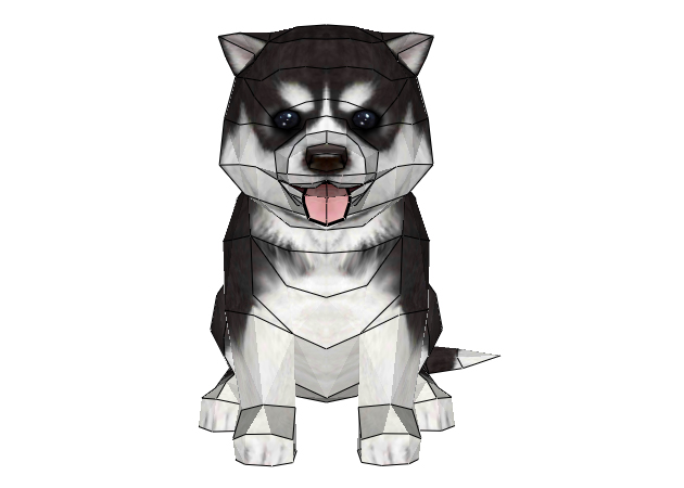 cho-alaskan-malamute-con-ver-2