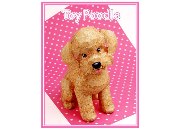 cho-toy-poodle-ver-2-kit168.com