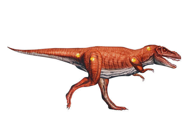 khung-long-tyrannosaurus-co-khop-noi-kit168.com