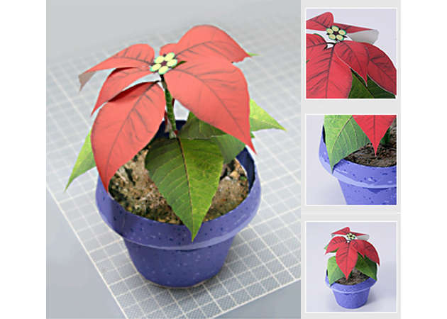 hoa-giang-sinh-kit168.com