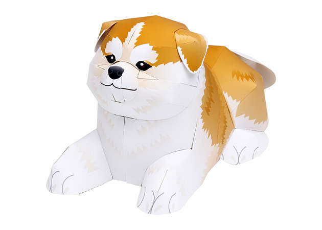 cho-akita-kit168.com