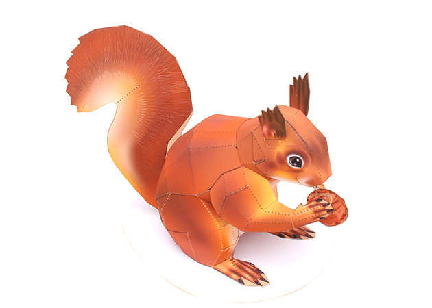 american-red-squirrel-kit168.com