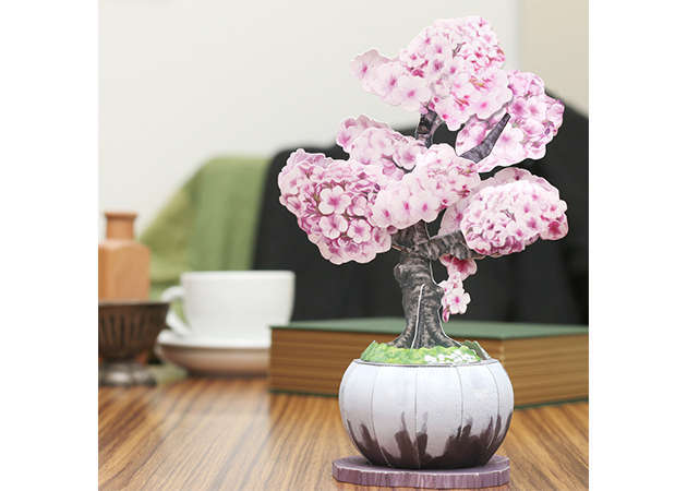 bonsai-anh-dao-kit168.com