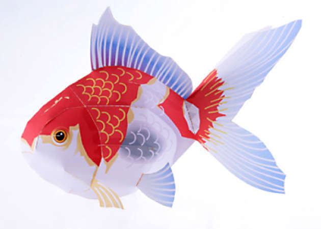 ca-vang-kit168.com