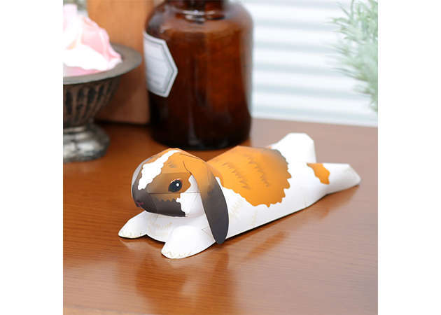 holland-lop-ver-2-kit168.com
