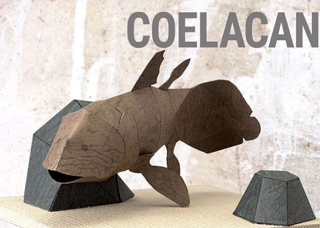 coelacanth-ver-2-kit168.com