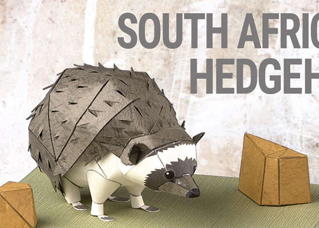 south-african-hedgehog-kit168.com