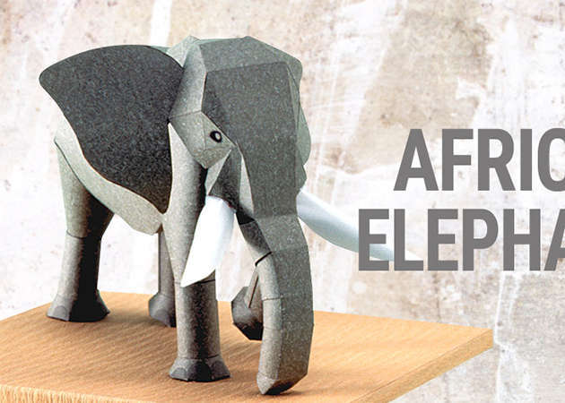 african-elephant-kit168.com