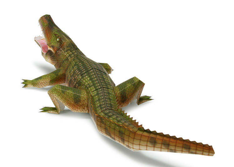 đồ chơi mô hình cá sấu mềm có nhạc siêu to dài 55cm  E3 Audio Miền Nam
